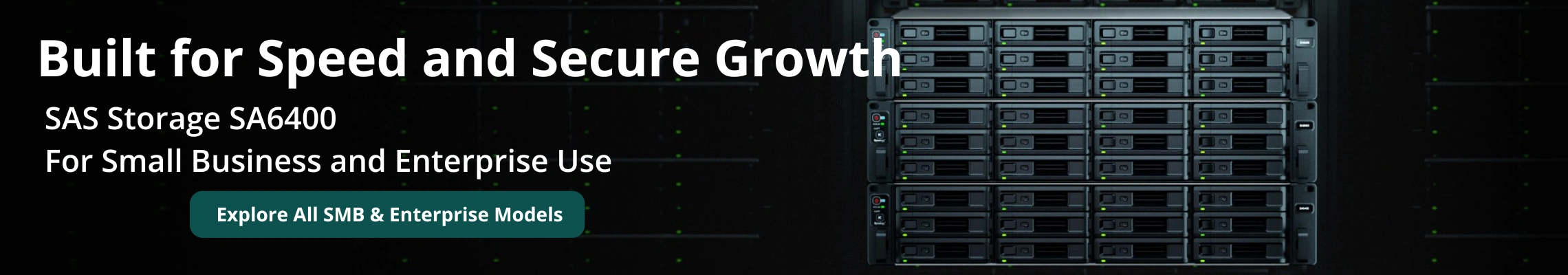 Synology with Ironwolf Hard Drive Bundles